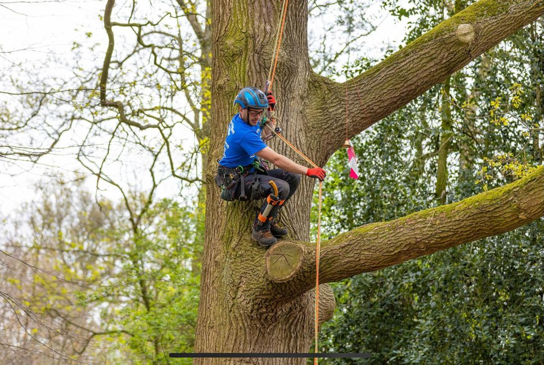 Competition climbing